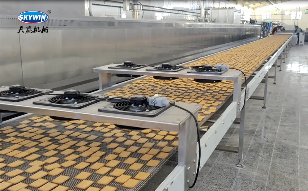 QQ_1774063212593 QQ_1774063212593