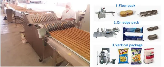 QQ_1774063300444 QQ_1774063300444