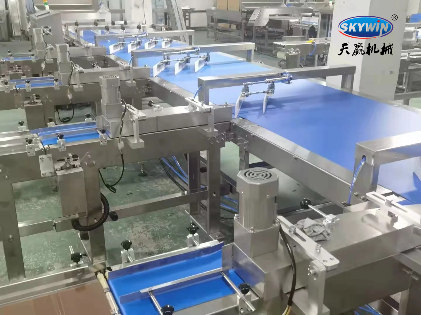 Skywin Automatic Stacking & Feeding Line Connected Packing Machine System Solution