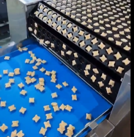Skywin All-in-One Forming & Depositing Machine – Automatic Cream & Chocolate Dual-Filling Bear Biscuit Production Line
