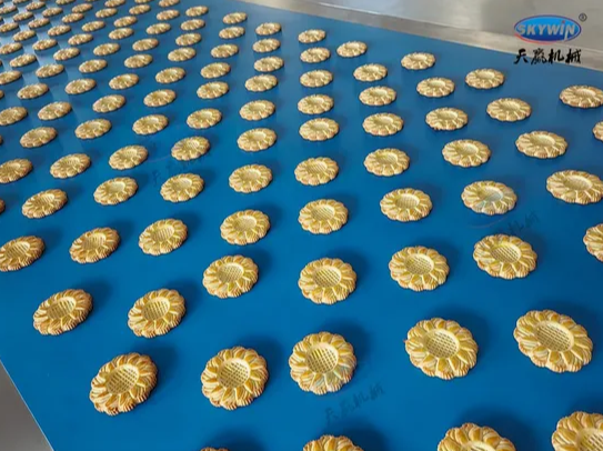 Skywin High Capacity 100kg/H Rotary Moulder Cookie Soft Biscuit Making Machine