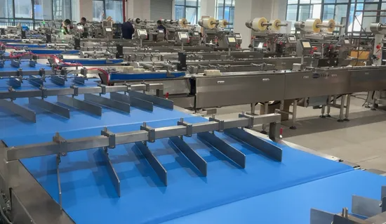 Automatic Feeding Stacking and Packaging Line Skywin Biscuit Packing System