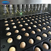 Skywin Automatic Chocolate/ Jam / Cream Filled Machine Biscuits Injection Machine