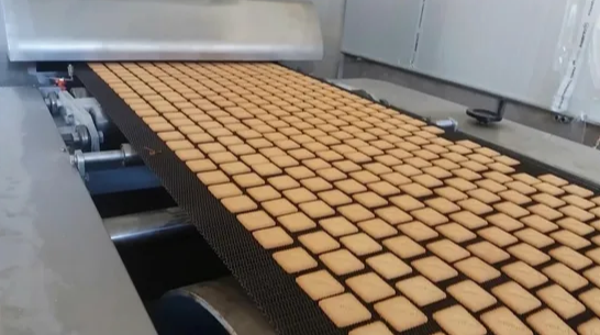 Skywin Electric/Gas Tunnel Oven for Baking Hard&Soft Biscuit