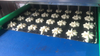 Skywin Tray Type Cookie Making Machine
