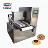 Skywin Tray Type Multi Color Wire Cutting and Depositing Cookies Making Machine