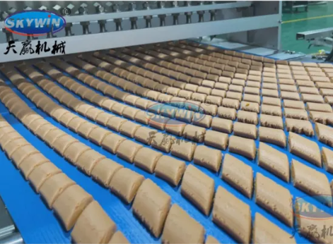 Skywin Factory Price Multifuction Custom Shape Cookie Biscuit Maker