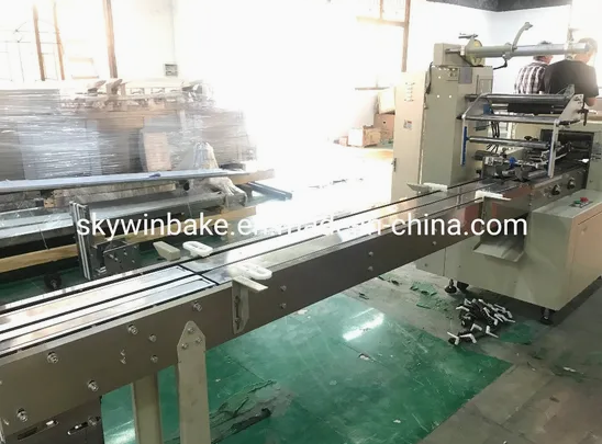 Skywin Automatic Package Machine Multi-Function Pillow Packing Machine