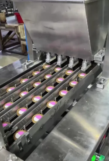 Skywin Chocolate Filling Tart Biscuit Making Sandwich Cookies Machine