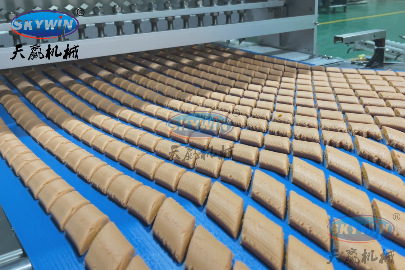 Skywin Automatic Two Colour Cookie Making Machine Production Line 