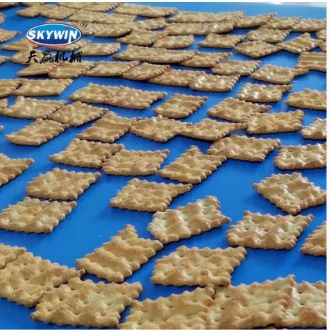 Skywin Fully Automatic Digestive Biscuit Stick Hard and Soft Cookies Making Machine