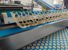 Skywin Automatic Butter Biscuit Soda Cracker Rotary Cookies Machine Production Line