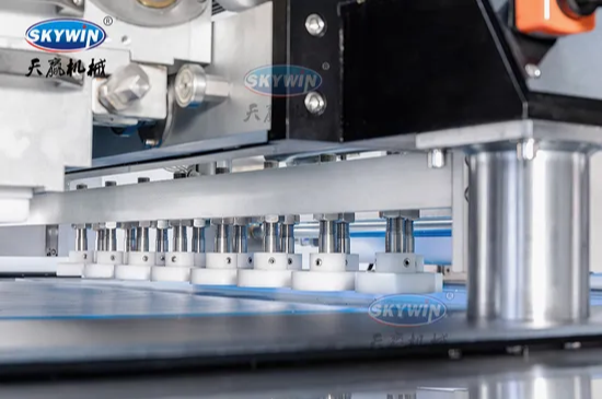 Skywin Automtic Two Colors Wire Cut and Deposit Cookie Making Machine