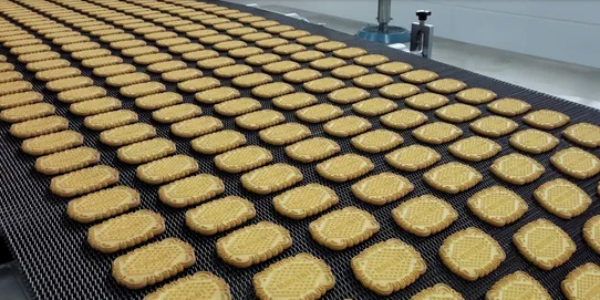 Skywin Automatic Soft Biscuit Production Line Machine for Commercial Manufacturing