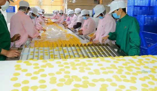 Skywin Potato Chips Production Line Biscuit Making Machine for Potato Chips