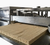 Skywin High Capacity Wafer Biscuit Production Line Machine