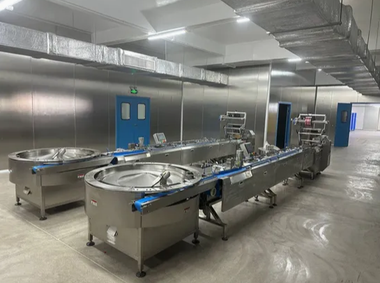 Fully Automatic Sorting System with Packing Machine for Biscuit Chocolate Bar Wafer