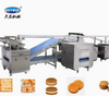 Fully Automatic Customized Skywin Baking Machine Soft Biscuit Production Line