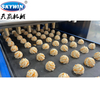 Skywin Tray Type Two Color Cookie Making Machine with Jam Deposite Function