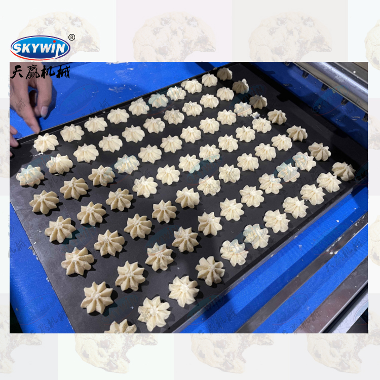 Skywin Tray Type Cookie Making Machine