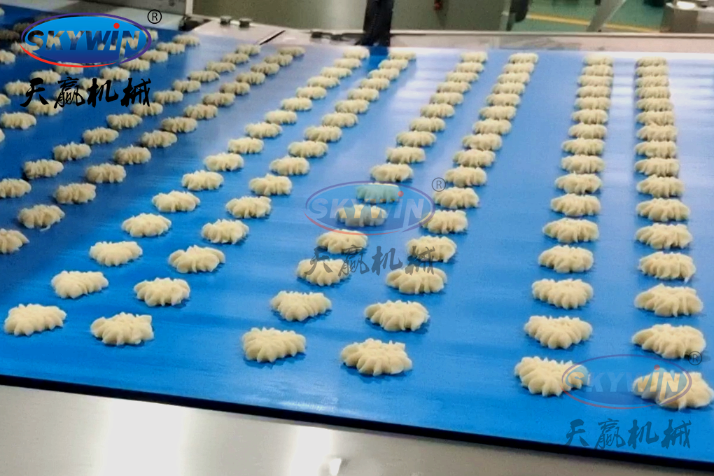 Skywin Automatic Wire Cut And Deposit Cookie Making Machine Production Line 