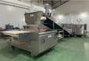 Skywin Rotary Moulding Soft Biscuit Making Machine Forming Equipment