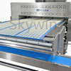 Pretzel Biscuit Making Machine Snack Production Line Food Machinery