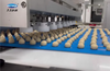 Skywin Automatic Cookie Making Machine Wire Cut & Depositor Biscuit Production Line Equipment