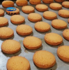 Skywin Good Quality Cookie Forming Machine Prodcution Line Foodstuff