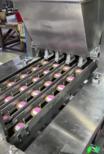 Skywin Automatic Chocolate Depositing Tart Biscuit Making Machine