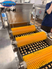 Skywin Hello Panda Bear Biscuit Cream Filling Machine | Fully Automatic Biscuit Cream Injection Equipment