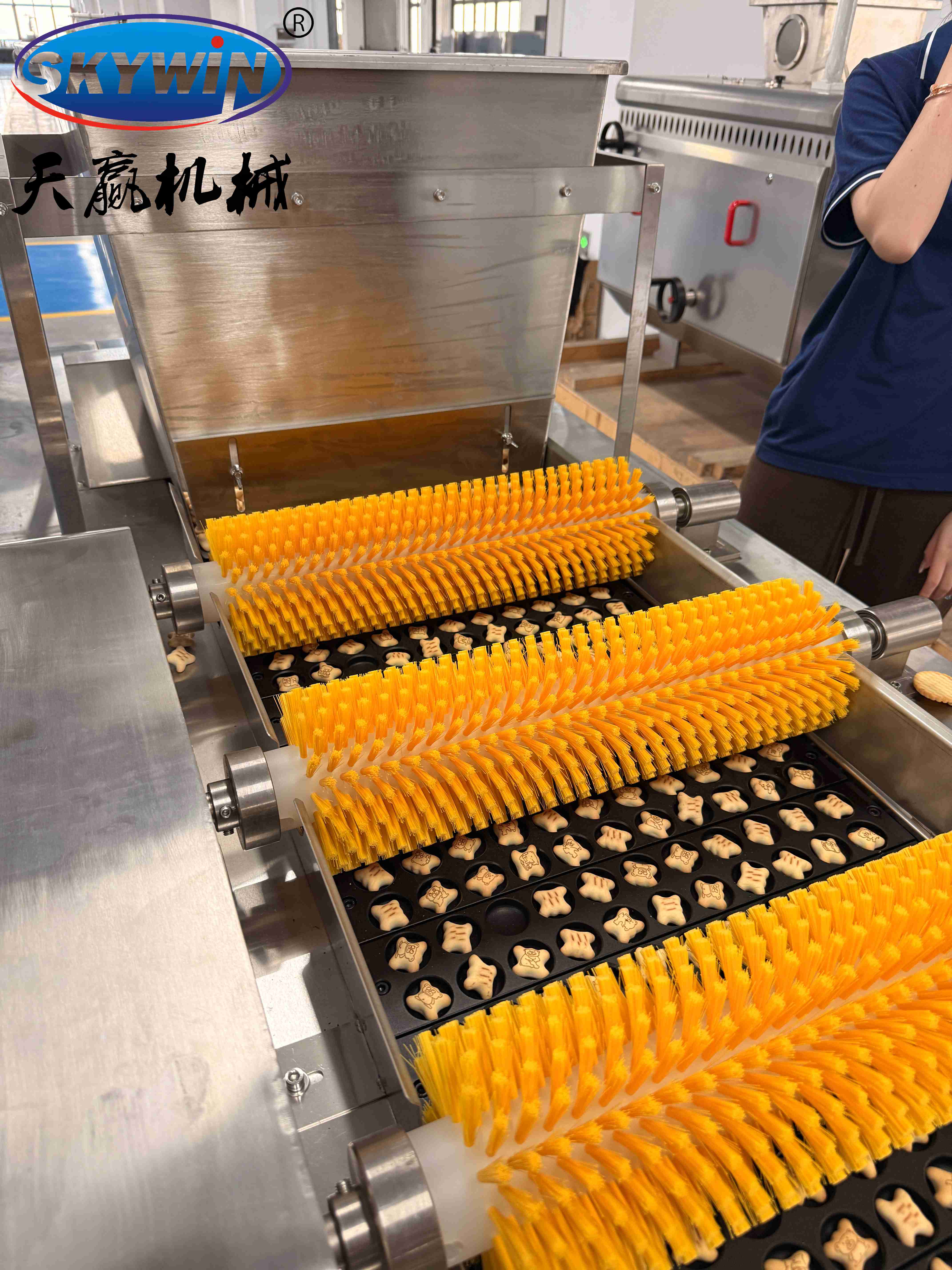 Skywin Hello Panda Bear Biscuit Cream Filling Machine | Fully Automatic Biscuit Cream Injection Equipment