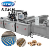 Skywin Fully Automatic Digestive Biscuit Stick Hard And Soft Cookies Making Machine | Complete Biscuit Production Line Solution