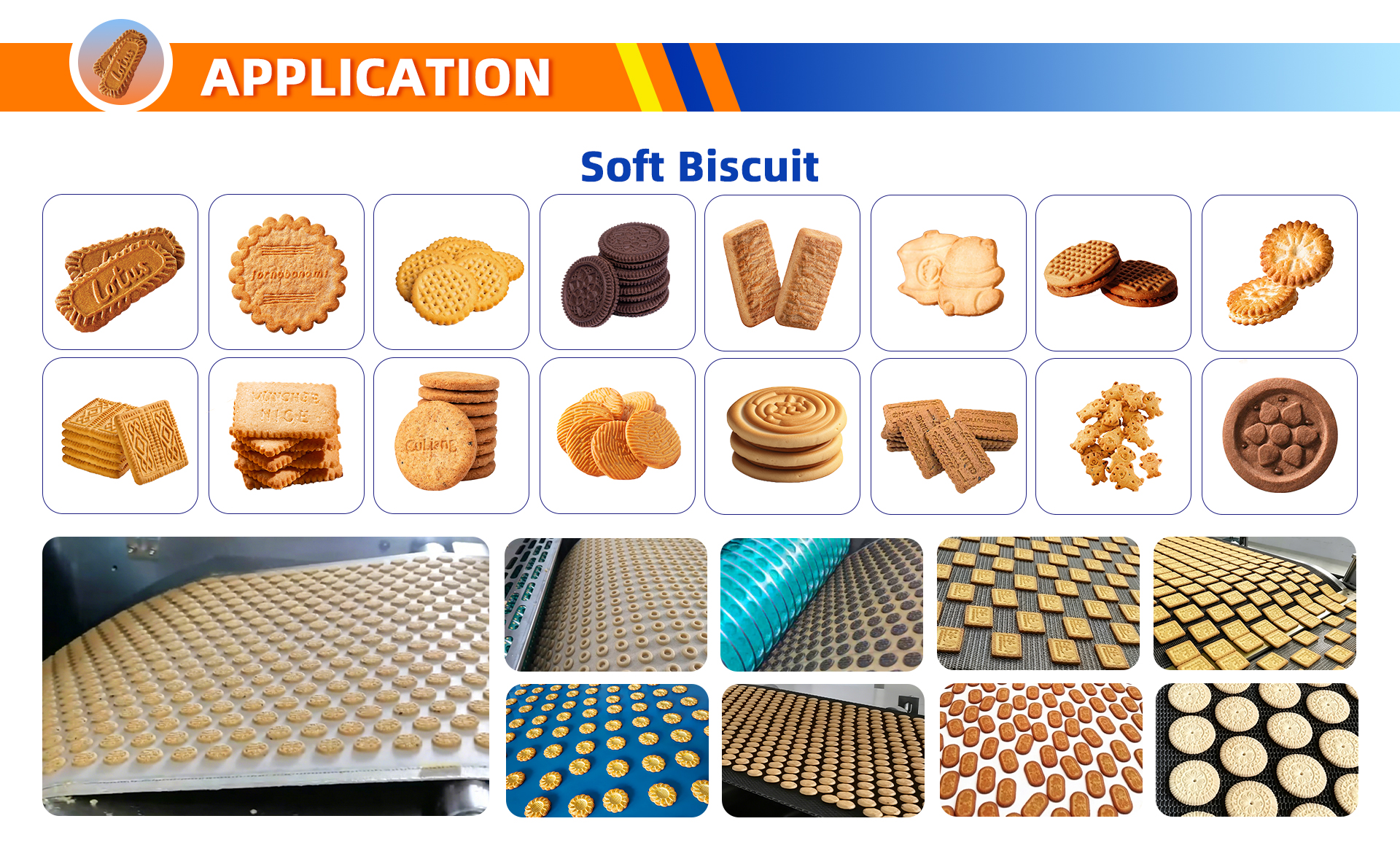 Soft-Biscuit-详情_04