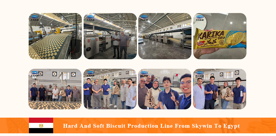 Successful Case-Egypt