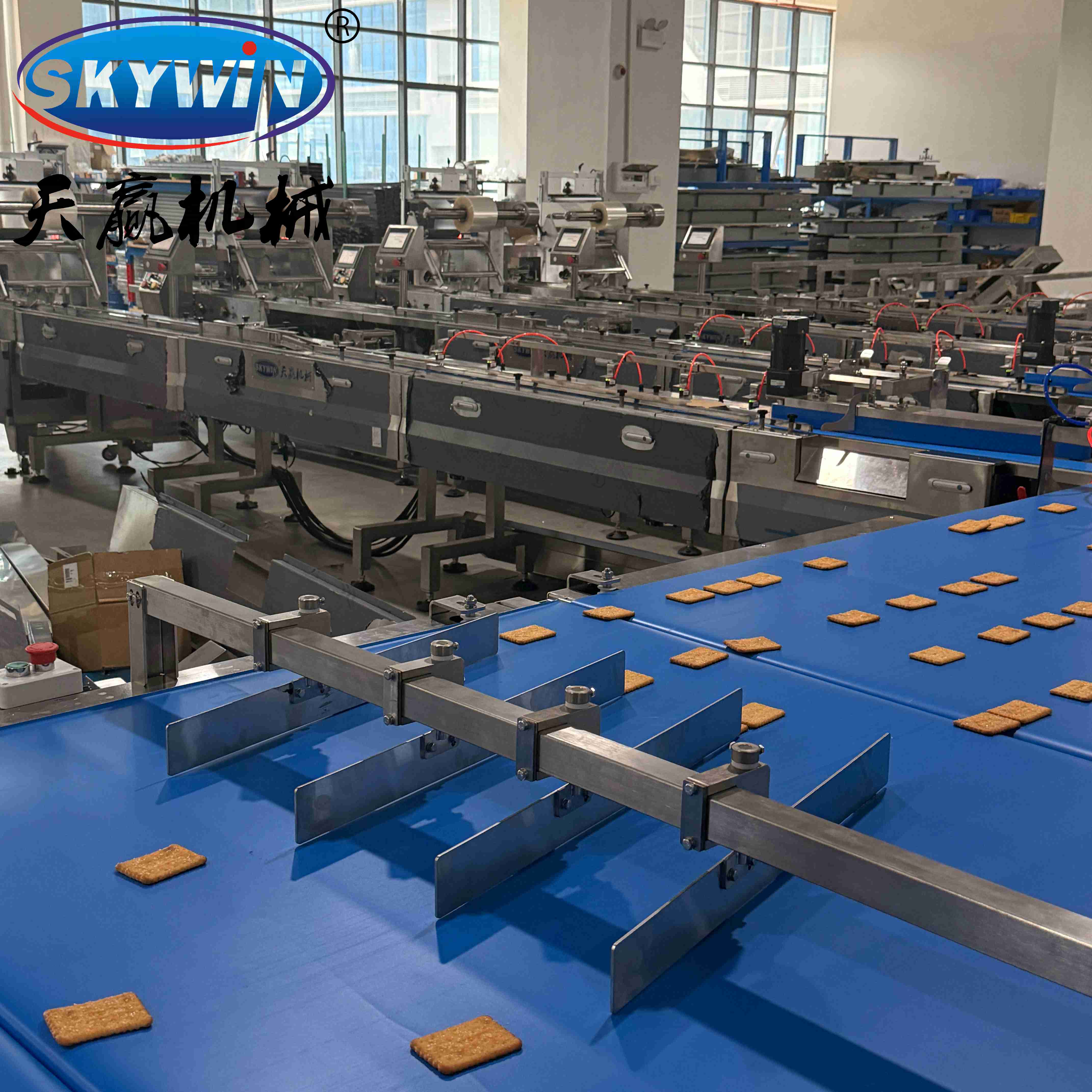 packagingline06