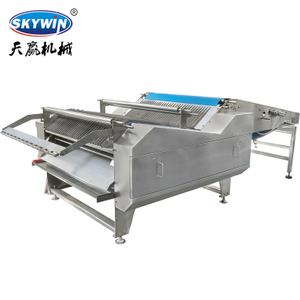 Skywin Automatic Biscuit Stacking Machine | Cookie Stacker for Production Line