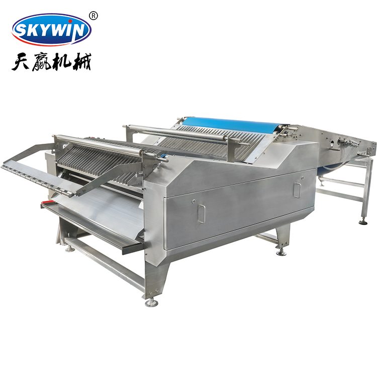 Skywin Automatic Biscuit Stacking Machine | Cookie Stacker for Production Line
